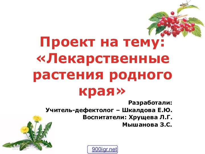 Разработали:Учитель-дефектолог – Шкалдова Е.Ю.Воспитатели: Хрущева Л.Г.