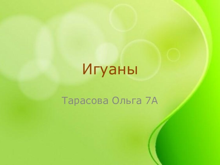 ИгуаныТарасова Ольга 7А