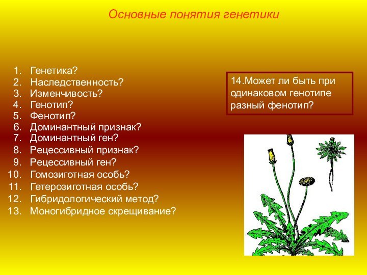 Генетика?Наследственность?Изменчивость?Генотип?Фенотип?Доминантный признак?Доминантный ген?Рецессивный признак?Рецессивный ген?Гомозиготная особь?Гетерозиготная особь?Гибридологический метод?Моногибридное скрещивание?14.Может ли быть при