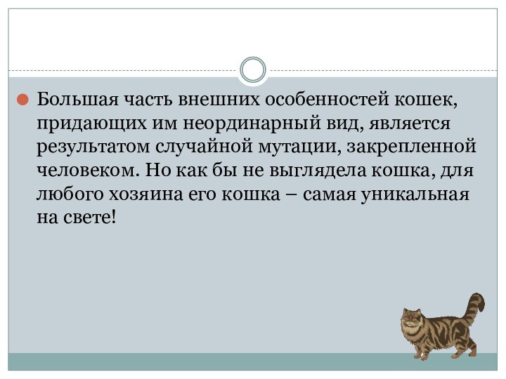 Большая часть внешних особенностей кошек, придающих им неординарный вид, является результатом случайной