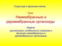 ДВУМЕМБРАННЫЕ ОРГАНОИДЫ. МИТОХОНДРИИ