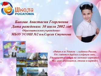 Портфолио достижений учащегося за 2014-2016 гг.