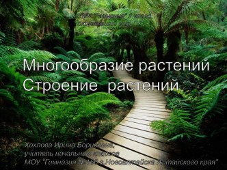 Строение растений