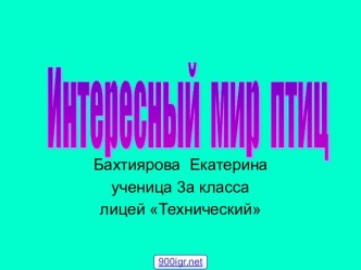 Мир птиц