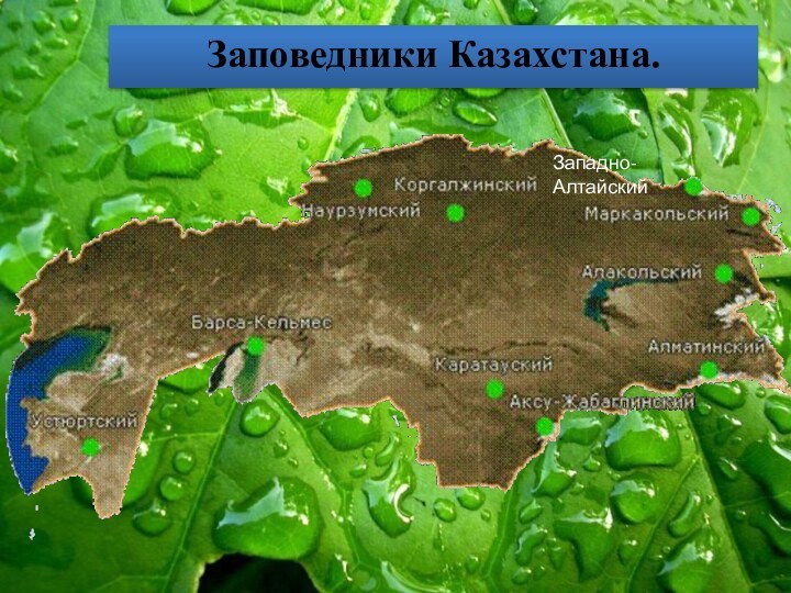 Западно-АлтайскийЗаповедники Казахстана.