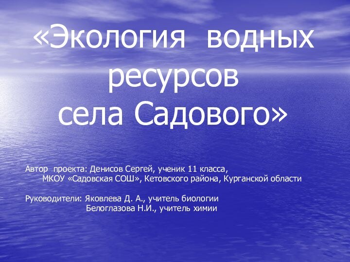 «Экология водных ресурсов  села Садового»Автор проекта: Денисов Сергей, ученик 11 класса,