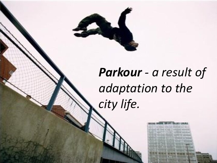 Parkour - a result of adaptation to the city life.