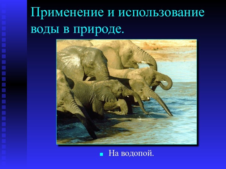 Применение и использование воды в природе.На водопой.