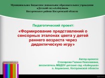 Педагогический проект Формирование представлений о сенсорных эталонах цвета у детей раннего возраста через дидактическую игру