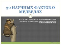 30 наилучших фактов о медведях