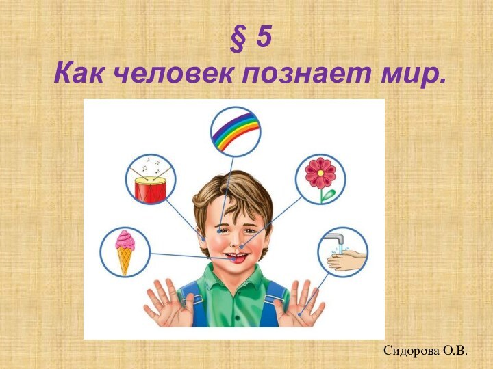 § 5  Как человек познает мир.Сидорова О.В.