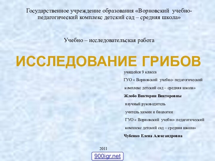 ИССЛЕДОВАНИЕ ГРИБОВ  Государственное учреждение образования «Ворновский учебно- педагогический комплекс детский сад