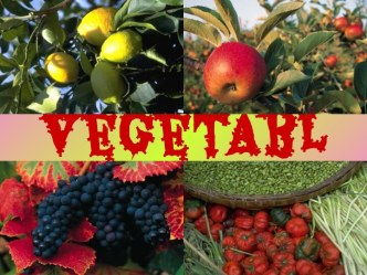 Fruit and Vegetables