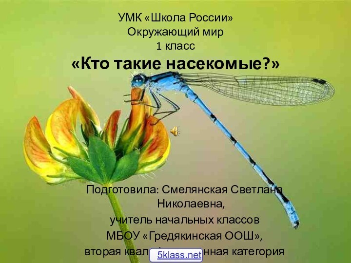 УМК «Школа России» Окружающий мир 1 класс «Кто такие насекомые?» Подготовила: Смелянская