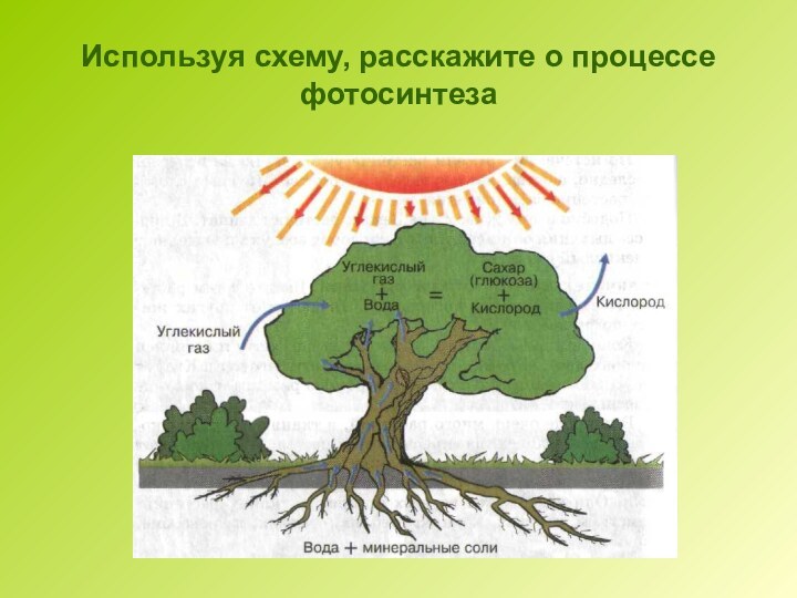 Используя схему, расскажите о процессе фотосинтеза