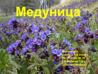 Медуница 3 класс