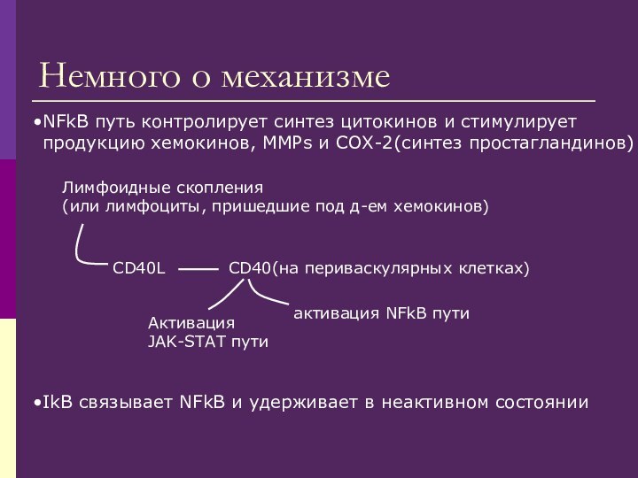 Немного о механизмеNFkB путь контролирует синтез цитокинов и стимулируетпродукцию хемокинов, MMPs и