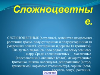 Семейство сложноцветных