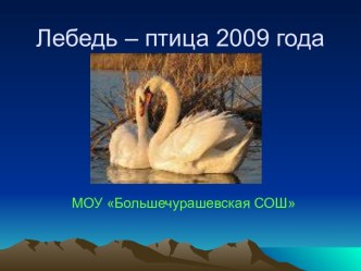 Лебедь – птица 2009 года