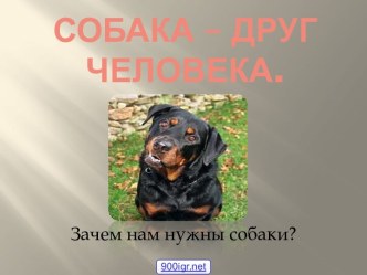 Собака - друг человека