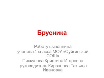 Брусника (1 класс)