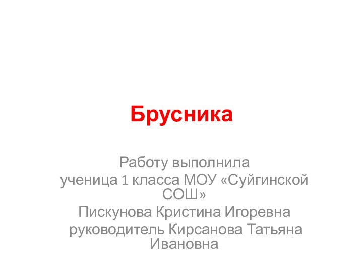 Брусника Работу выполнила ученица 1 класса МОУ «Суйгинской СОШ»Пискунова Кристина Игоревна руководитель Кирсанова Татьяна Ивановна