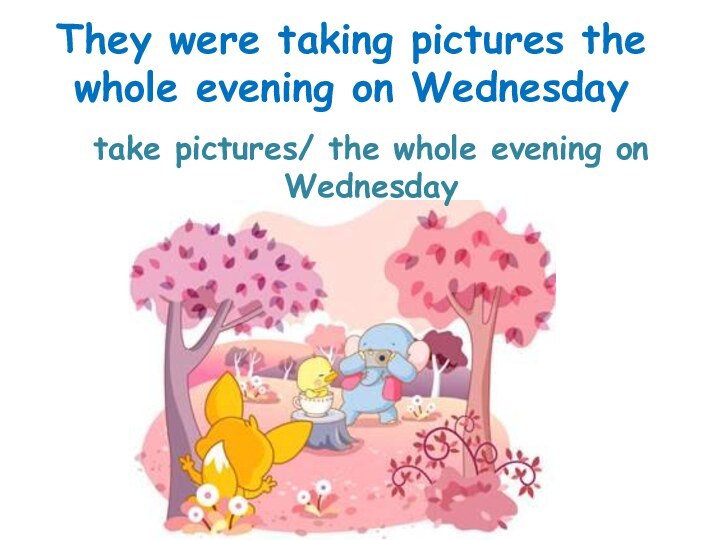 take pictures/ the whole evening on WednesdayThey were taking pictures the whole evening on Wednesday