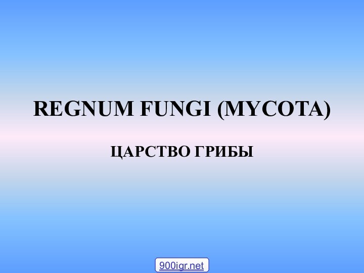 REGNUM FUNGI (MYCOTA)ЦАРСТВО ГРИБЫ