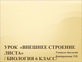 Внешнее строение листа