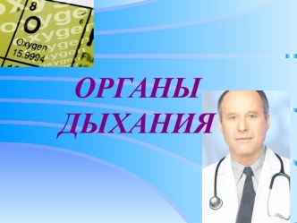 Органы дыхания