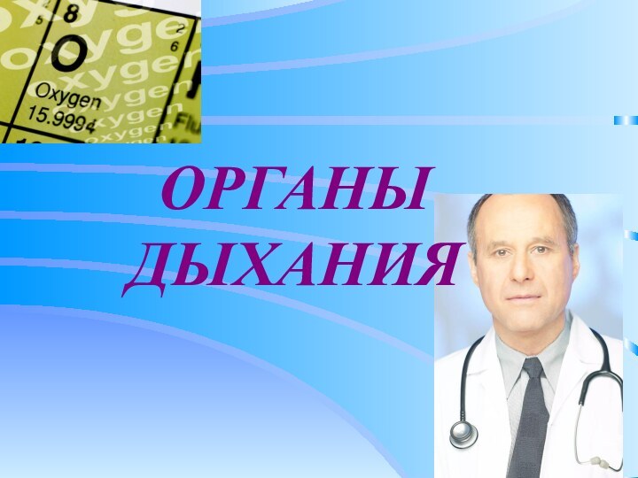 ОРГАНЫ ДЫХАНИЯ