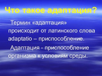 Что такое адаптация?