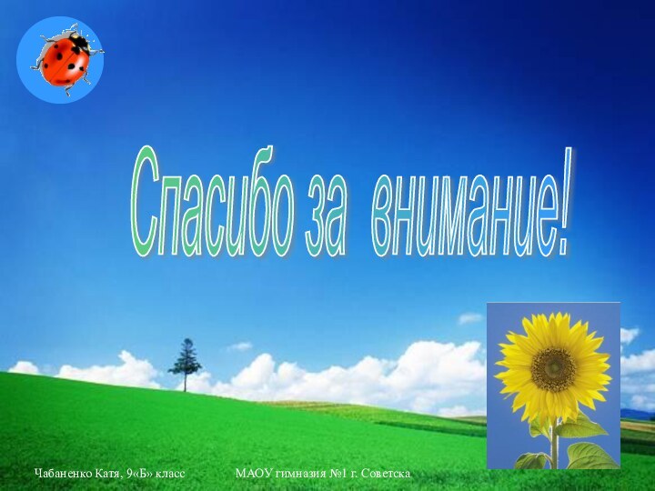 Чабаненко Катя, 9«Б» классМАОУ гимназия №1 г. СоветскаСпасибо за внимание!
