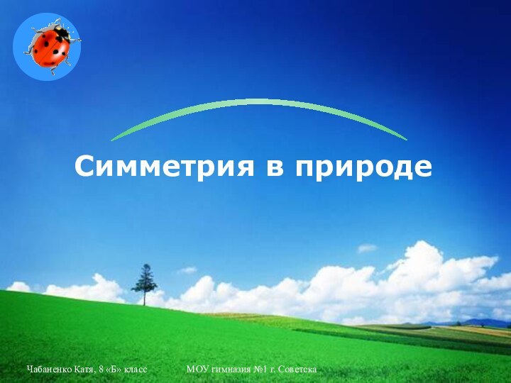 Чабаненко Катя, 8 «Б» классМОУ гимназия №1 г. СоветскаСимметрия в природе