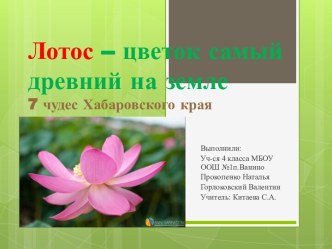 Лотос – цветок самый древний на земле7 чудес Хабаровского края