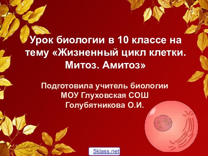 Урок биологии в 10 классе на тему «Жизненный цикл клетки. Митоз. Амитоз»Подготовила