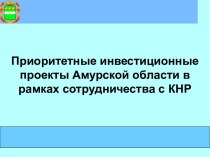 Приоритетные инвестиционные проекты Амурской области в рамках сотрудничества с КНР