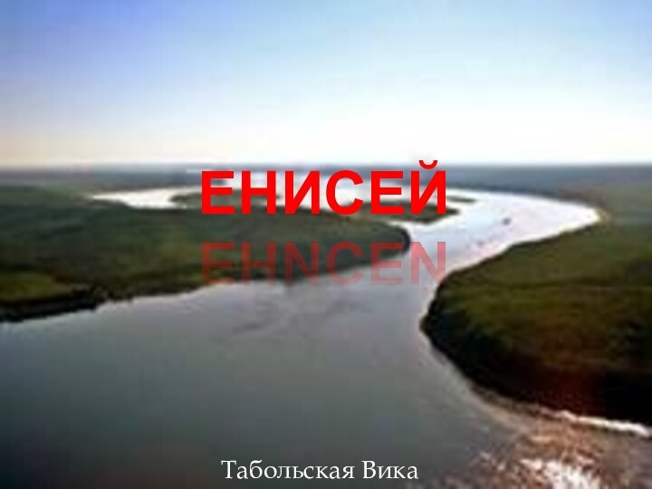 енисейТабольская Вика