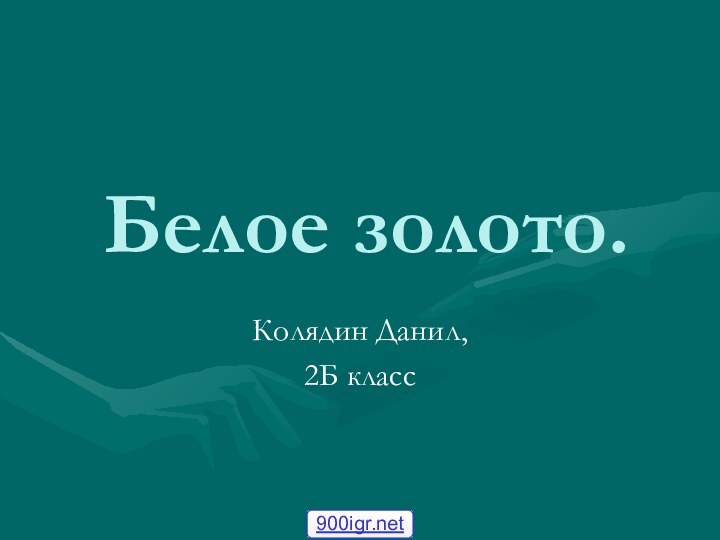 Белое золото.Колядин Данил,2Б класс