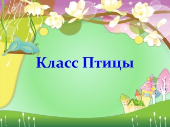 Класс Птицы