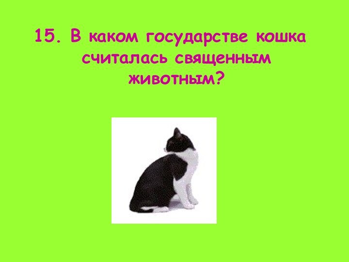15. В каком государстве кошка считалась священным животным?