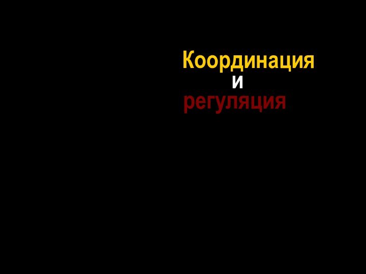 Координация   и  регуляция