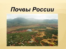 Характеристика почв России