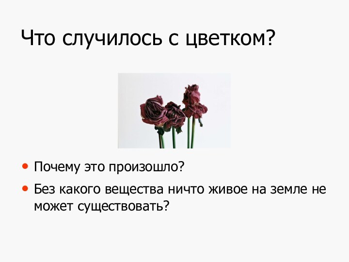 Что случилось с цветком?Почему это произошло?Без какого вещества ничто живое на земле не может существовать?