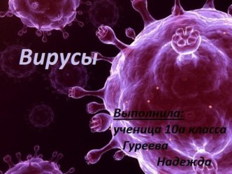 Вирусы