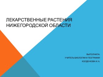 Лекарственные растения Нижегородской области