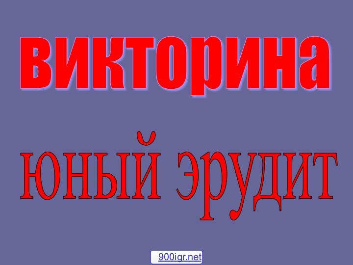 викторина юный эрудит