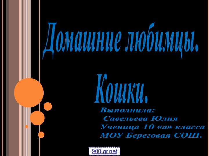 Домашние любимцы. Кошки.Выполнила: Савельева Юлия Ученица 10 «а» классаМОУ Береговая СОШ.