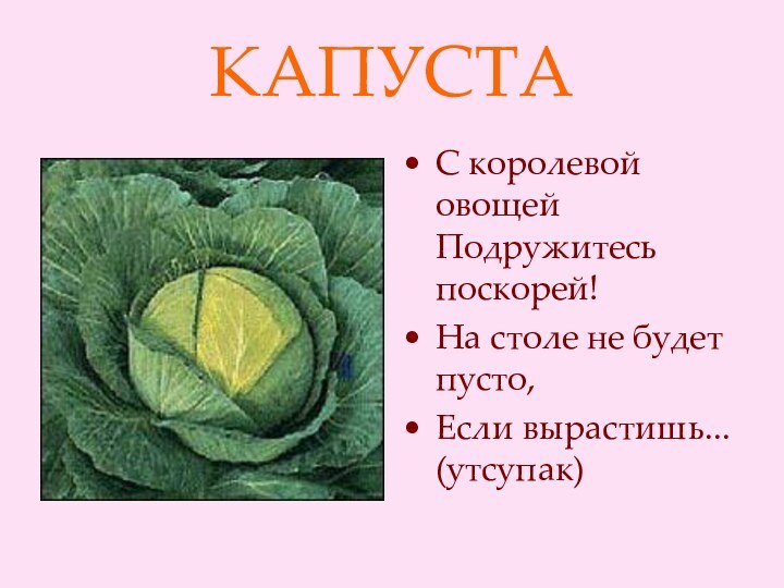 КАПУСТАС королевой овощей Подружитесь поскорей! На столе не будет пусто, Если вырастишь... (утсупак)