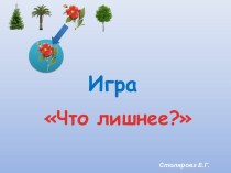 Игра Что лишнее